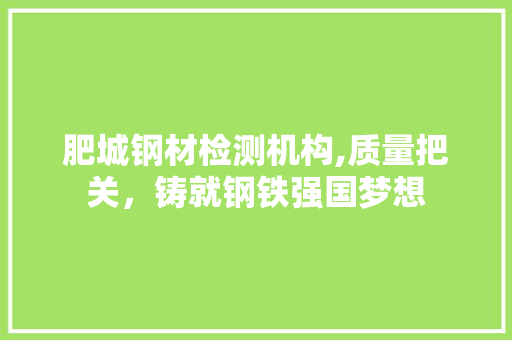 肥城钢材检测机构,质量把关，铸就钢铁强国梦想