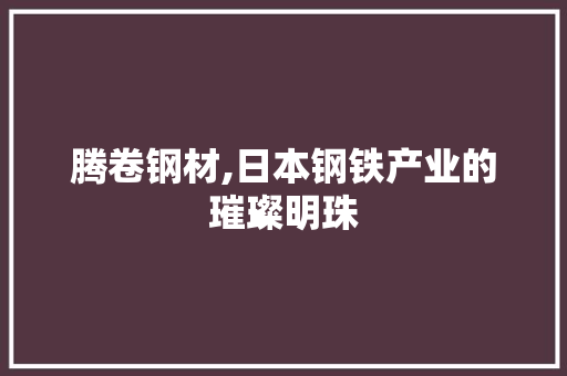 腾卷钢材,日本钢铁产业的璀璨明珠