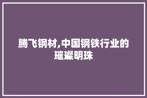 腾飞钢材,中国钢铁行业的璀璨明珠