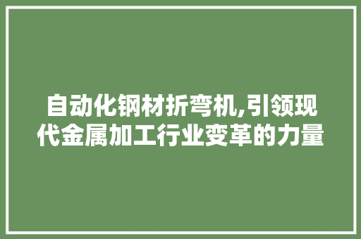 自动化钢材折弯机,引领现代金属加工行业变革的力量