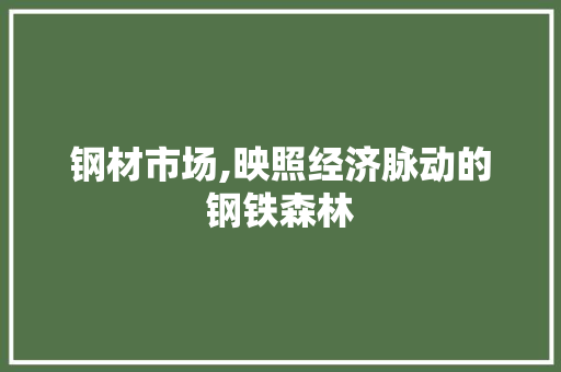 钢材市场,映照经济脉动的钢铁森林
