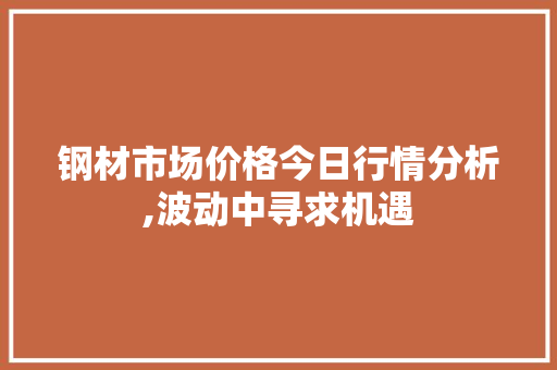钢材市场价格今日行情分析,波动中寻求机遇