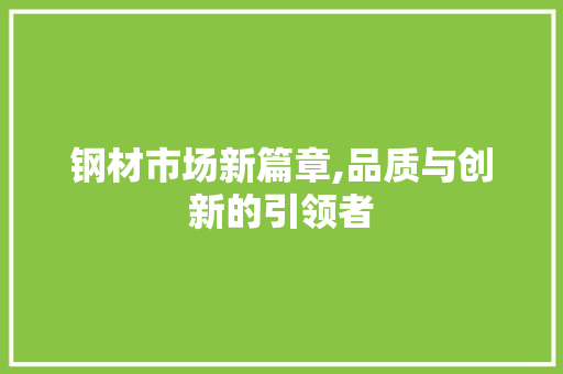钢材市场新篇章,品质与创新的引领者