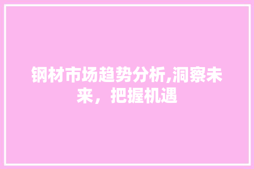钢材市场趋势分析,洞察未来，把握机遇