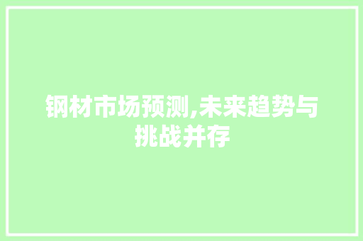 钢材市场预测,未来趋势与挑战并存