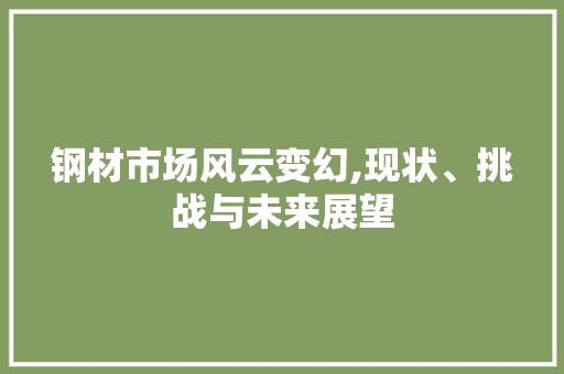 钢材市场风云变幻,现状、挑战与未来展望