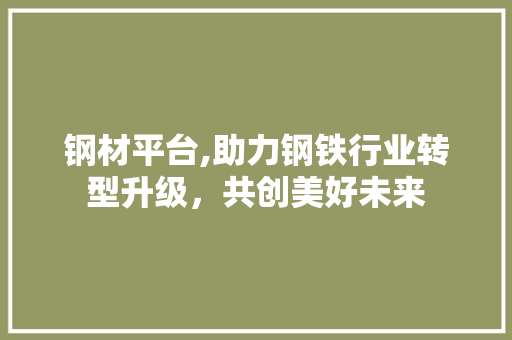 钢材平台,助力钢铁行业转型升级，共创美好未来