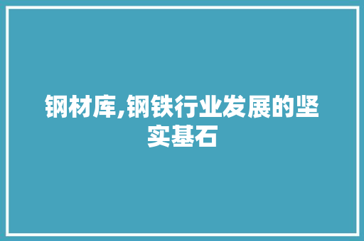 钢材库,钢铁行业发展的坚实基石
