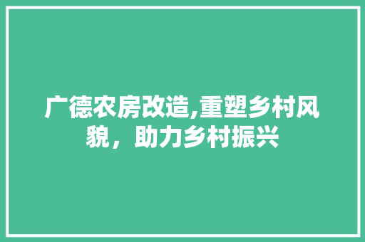 广德农房改造,重塑乡村风貌，助力乡村振兴 装修材料
