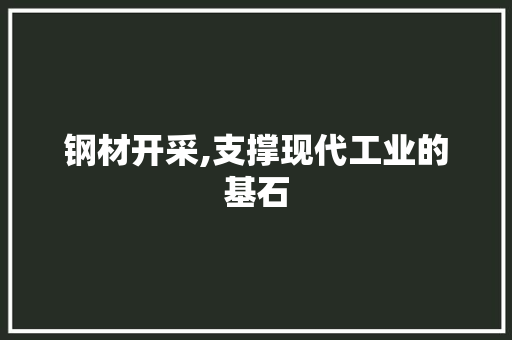 钢材开采,支撑现代工业的基石