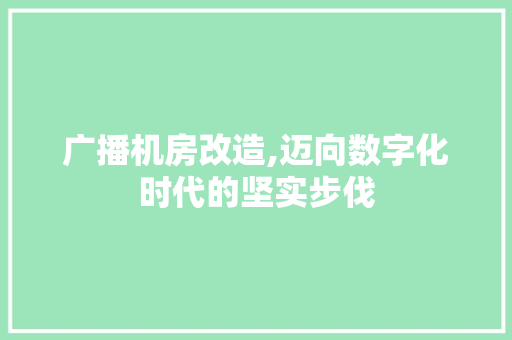广播机房改造,迈向数字化时代的坚实步伐 墙面装饰