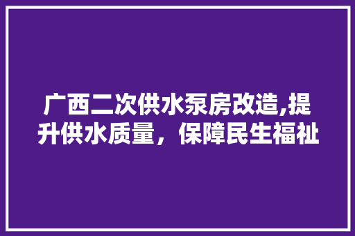 广西二次供水泵房改造,提升供水质量，保障民生福祉