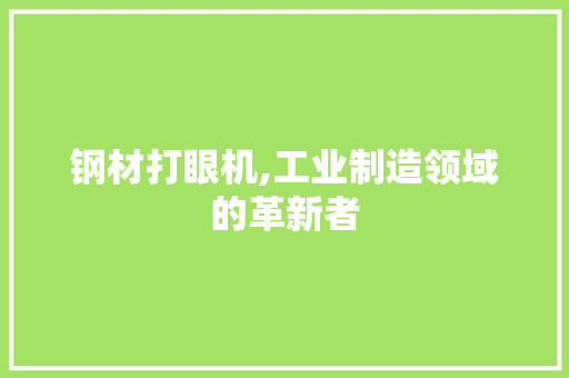 钢材打眼机,工业制造领域的革新者