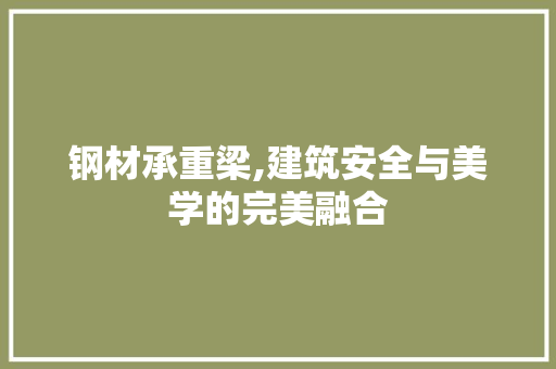 钢材承重梁,建筑安全与美学的完美融合