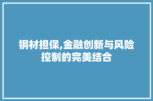 钢材担保,金融创新与风险控制的完美结合