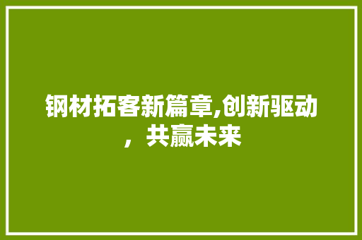 钢材拓客新篇章,创新驱动，共赢未来