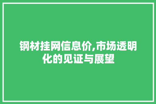 钢材挂网信息价,市场透明化的见证与展望