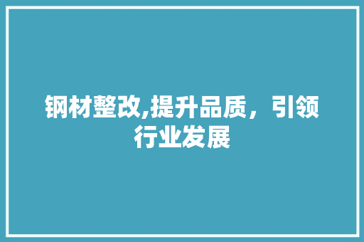钢材整改,提升品质，引领行业发展