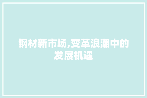 钢材新市场,变革浪潮中的发展机遇