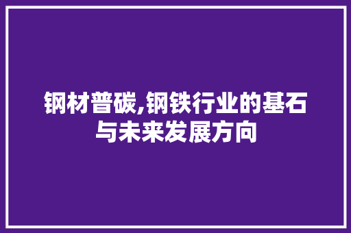 钢材普碳,钢铁行业的基石与未来发展方向