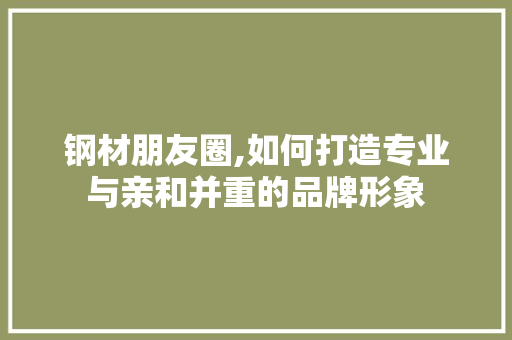 钢材朋友圈,如何打造专业与亲和并重的品牌形象