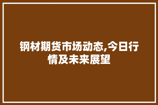 钢材期货市场动态,今日行情及未来展望