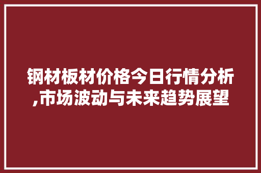 钢材板材价格今日行情分析,市场波动与未来趋势展望