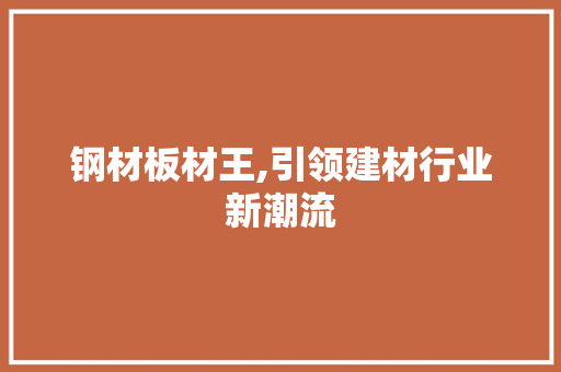 钢材板材王,引领建材行业新潮流