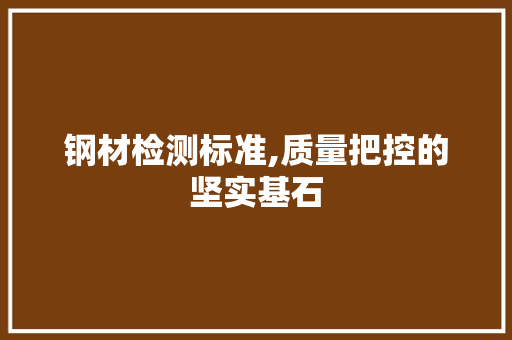 钢材检测标准,质量把控的坚实基石