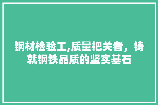 钢材检验工,质量把关者，铸就钢铁品质的坚实基石
