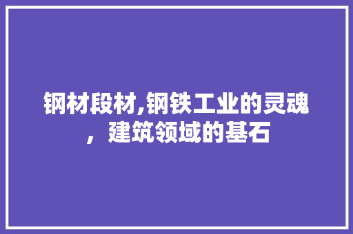 钢材段材,钢铁工业的灵魂，建筑领域的基石