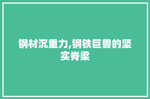 钢材沉重力,钢铁巨兽的坚实脊梁