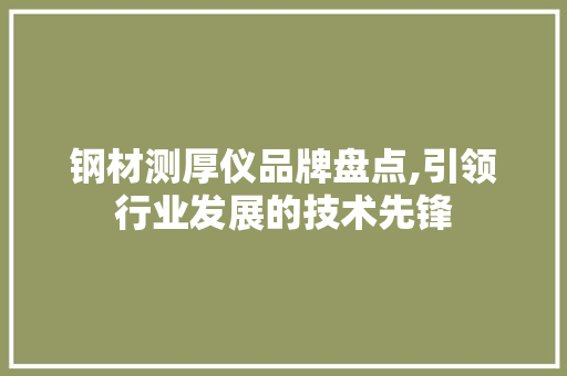 钢材测厚仪品牌盘点,引领行业发展的技术先锋