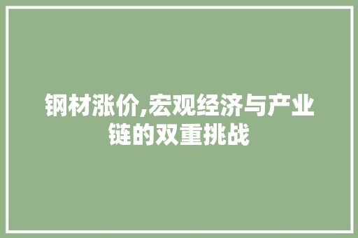 钢材涨价,宏观经济与产业链的双重挑战