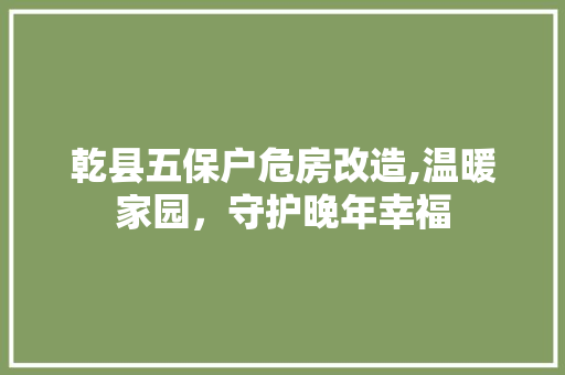 乾县五保户危房改造,温暖家园，守护晚年幸福