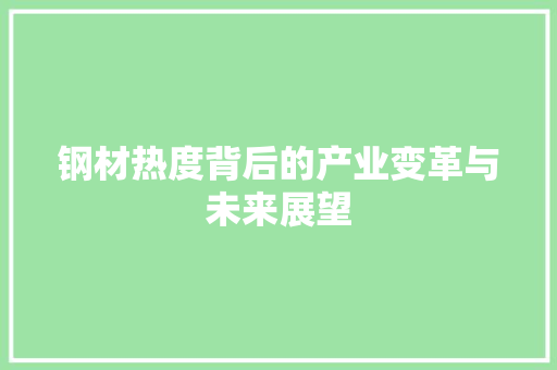 钢材热度背后的产业变革与未来展望