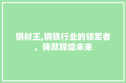 钢材王,钢铁行业的领军者，铸就辉煌未来