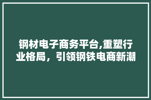 钢材电子商务平台,重塑行业格局，引领钢铁电商新潮流