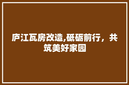 庐江瓦房改造,砥砺前行，共筑美好家园