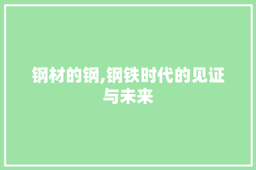 钢材的钢,钢铁时代的见证与未来