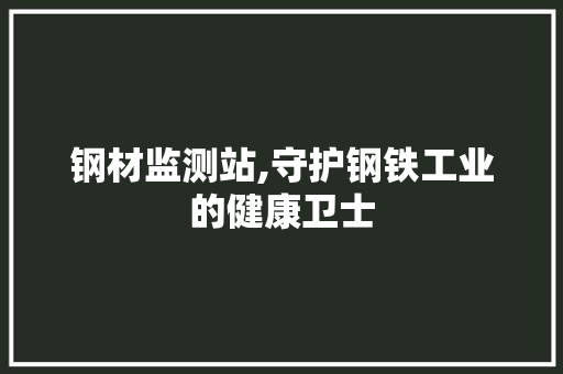 钢材监测站,守护钢铁工业的健康卫士