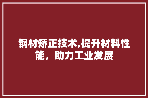 钢材矫正技术,提升材料性能，助力工业发展