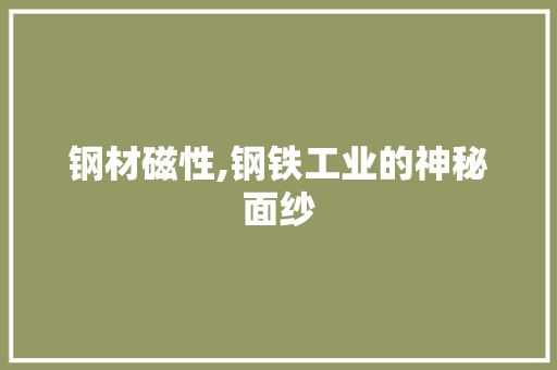 钢材磁性,钢铁工业的神秘面纱