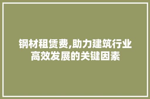 钢材租赁费,助力建筑行业高效发展的关键因素