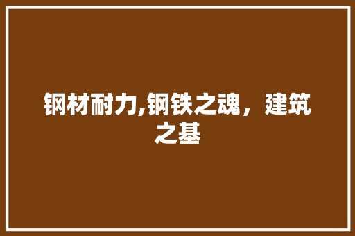钢材耐力,钢铁之魂，建筑之基