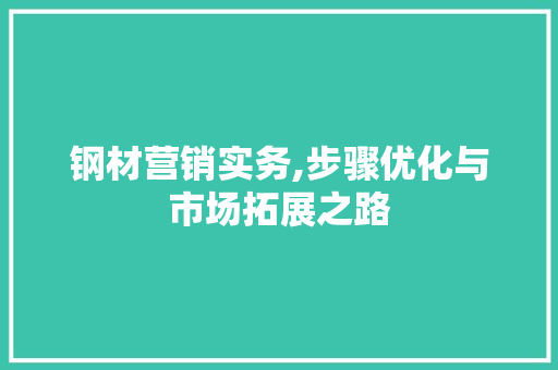 钢材营销实务,步骤优化与市场拓展之路