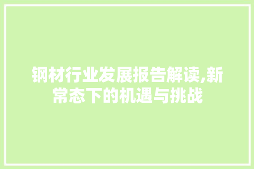 钢材行业发展报告解读,新常态下的机遇与挑战