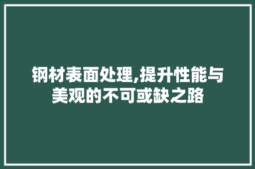 钢材表面处理,提升性能与美观的不可或缺之路
