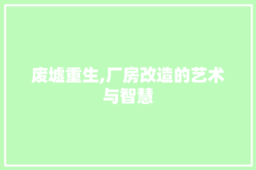 废墟重生,厂房改造的艺术与智慧
