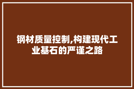 钢材质量控制,构建现代工业基石的严谨之路